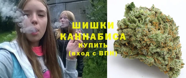 индика Абаза